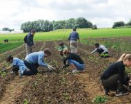 Compagnons de la Terre